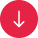 Download Brochure Icon